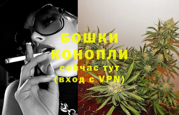 трава Абаза