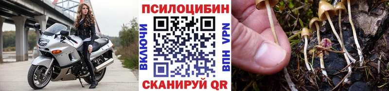 Галлюциногенные грибы мухоморы  Вышний Волочёк 